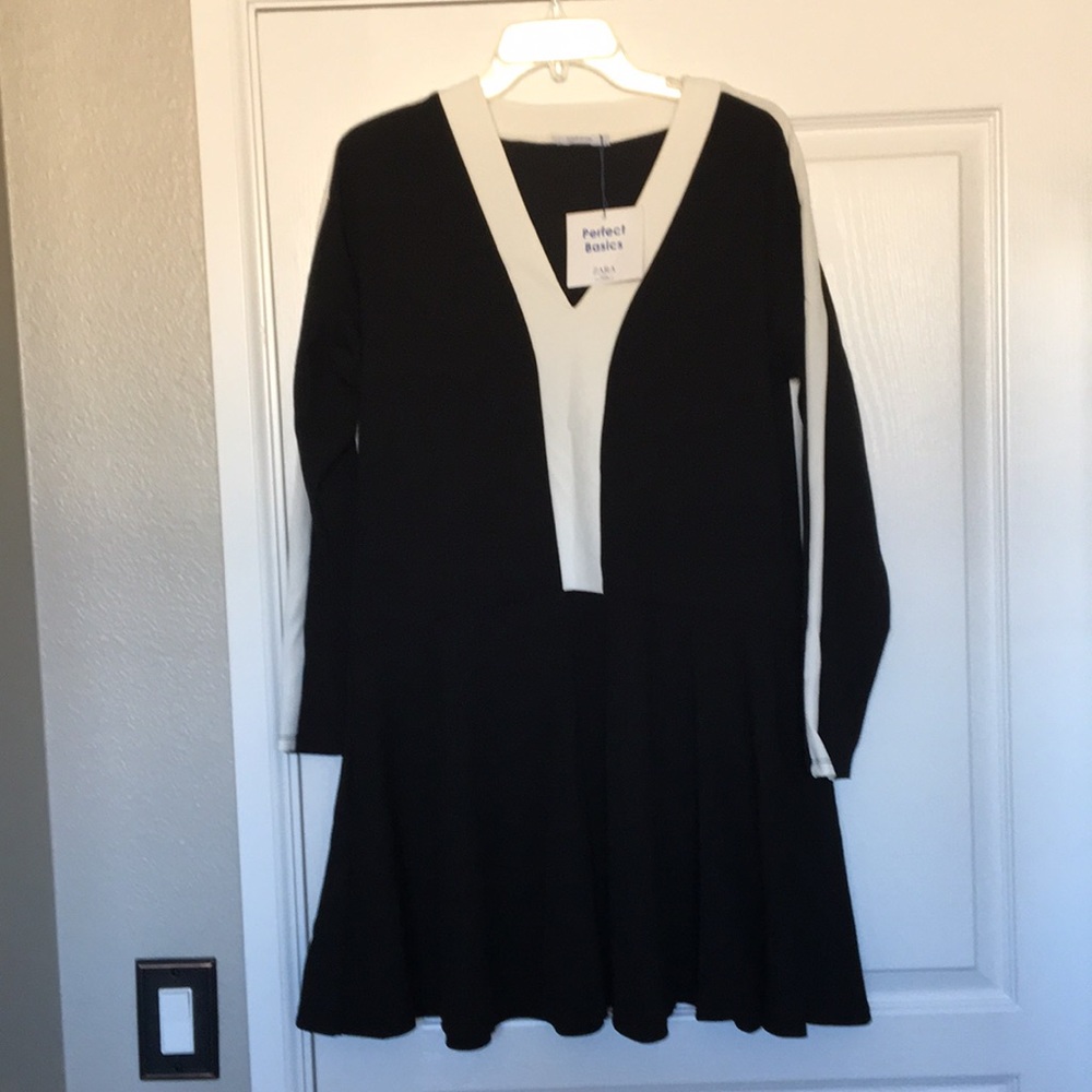 Zara Drop Waist Dress